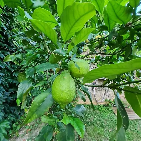 Sunspot - Beautiful View With Big Garden, Free Parking, *