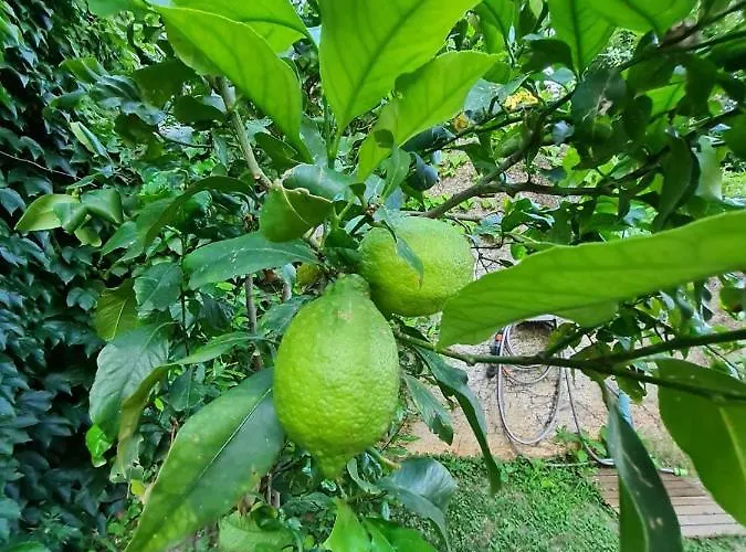 Sunspot - Beautiful View With Big Garden, Free Parking, *