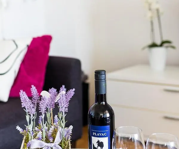 Sunspot - Beautiful View With Big Garden, Free Parking, 公寓 杜布罗夫尼克